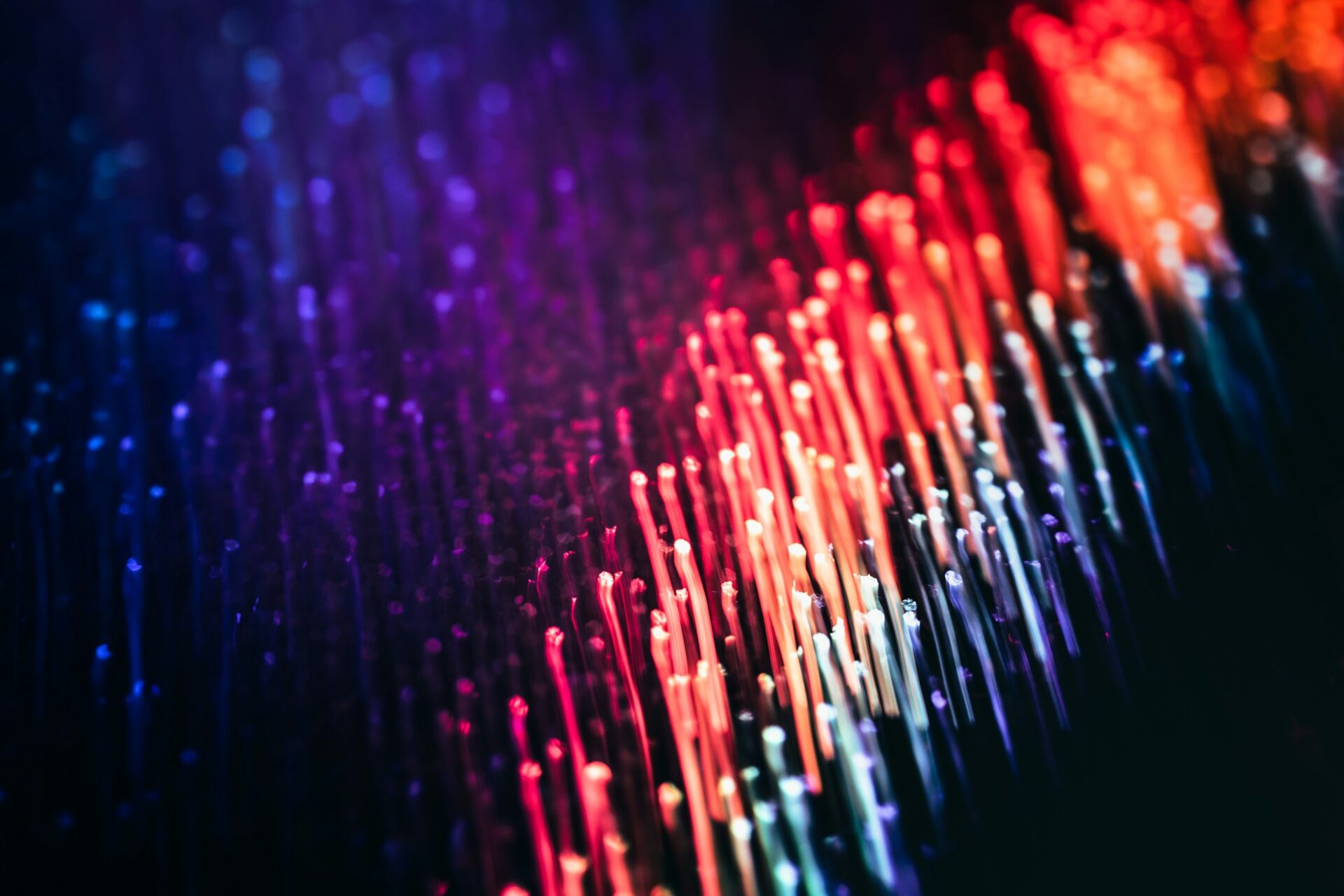 Transitioning to a Secure, Non-Public Member Verification Model